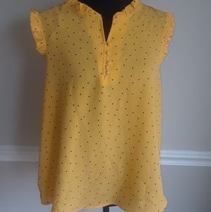 Iris Plus Size Sleeveless Blouse Size 1X EUC